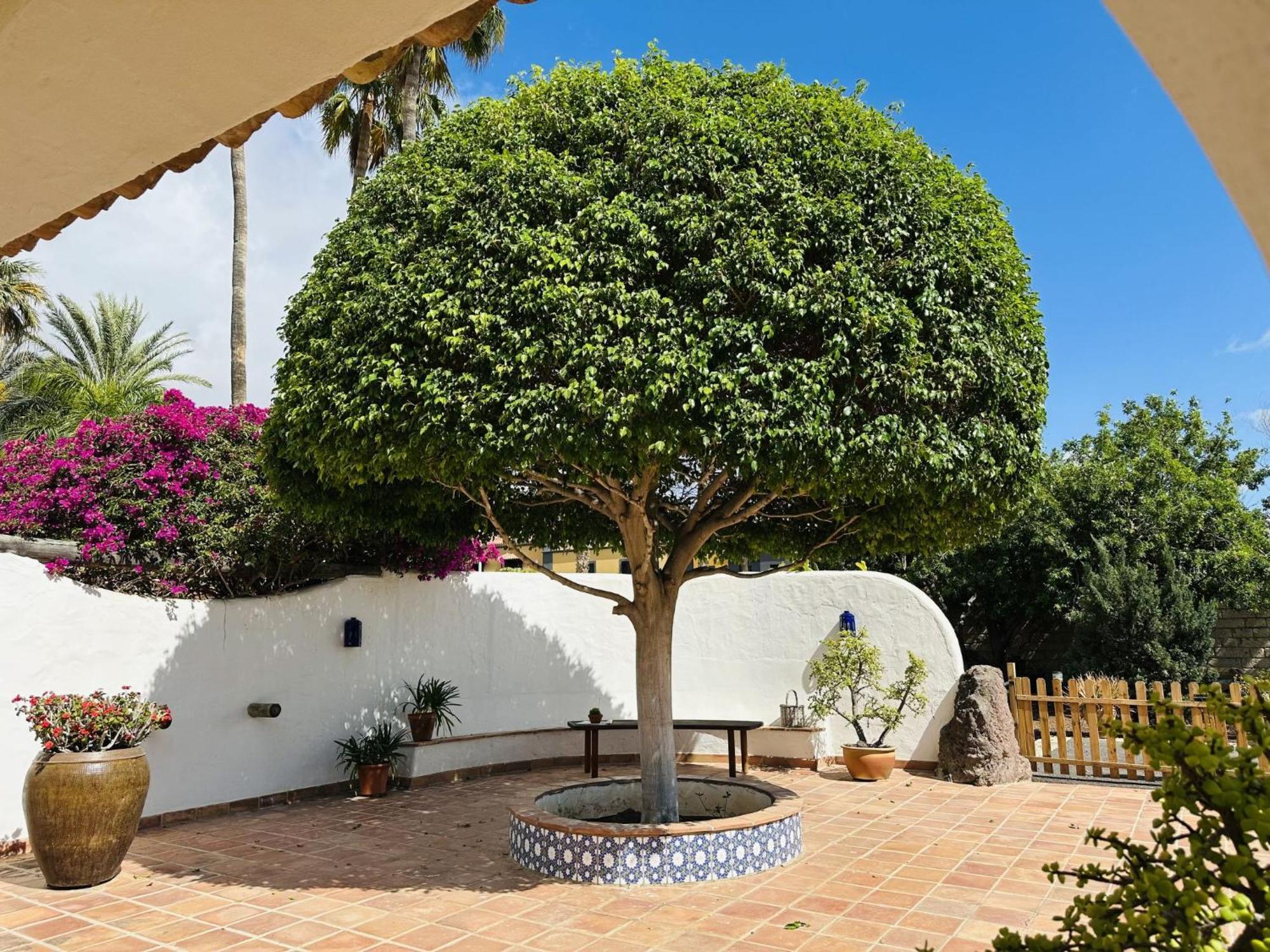 Villa Finca Ingala By Interhome Costa Adeje  Exteriér fotografie